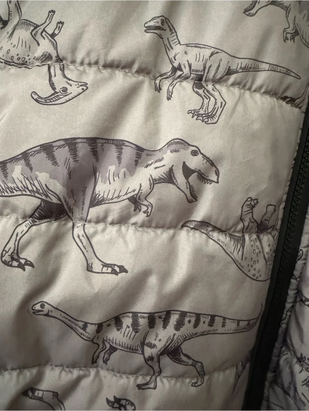 Carter's Light Gray Dinosaur Hooded Puffer Jacket